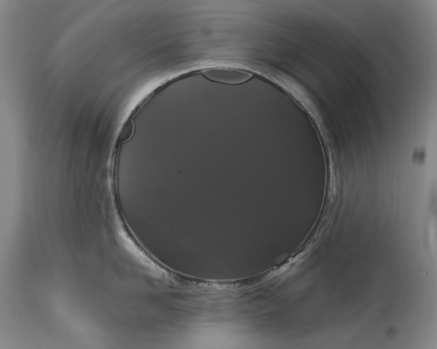 X0000115320958200911161742