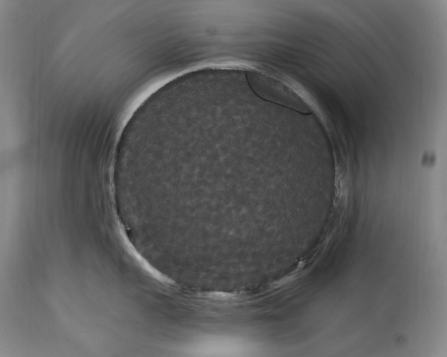 X0000115320959200911161742