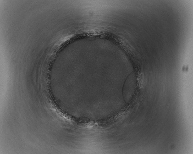 X0000115320961200911161741