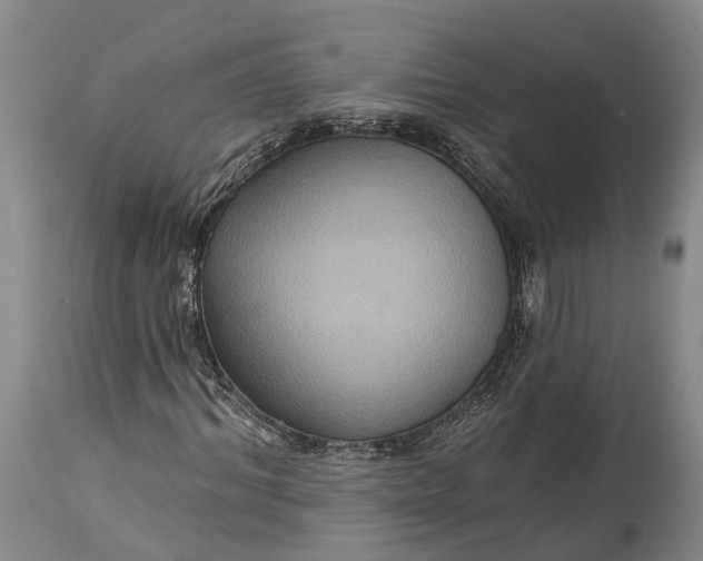 X0000115320964200911161741