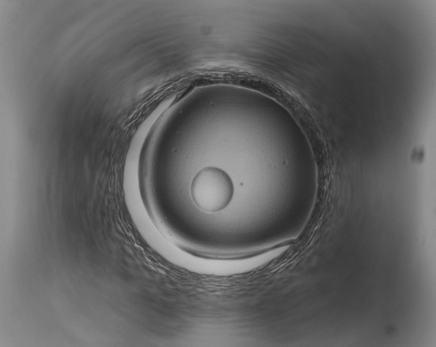 X0000115320965200911161741