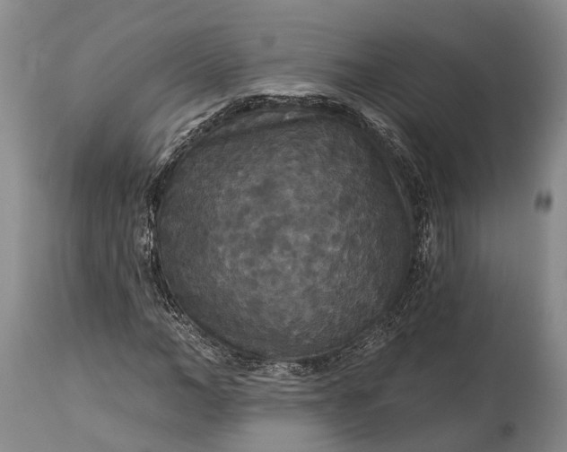 X0000115320966200911161741