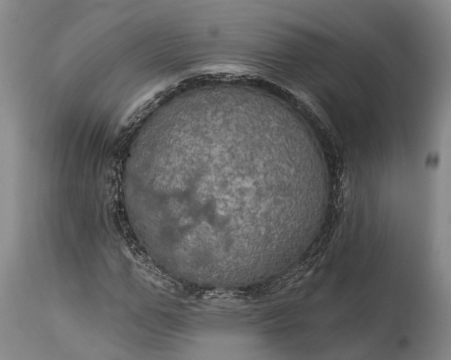 X0000115320967200911161741