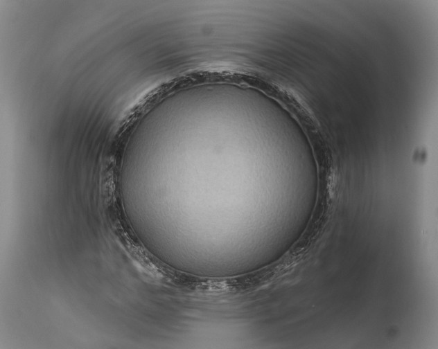 X0000115320968200911161741