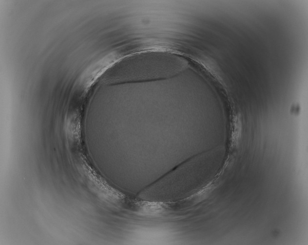 X0000115320969200911161741