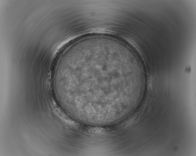 X0000115320971200911161741