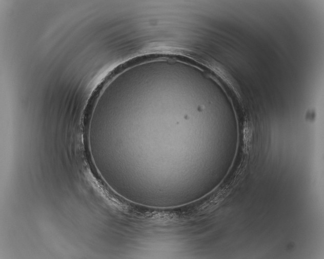 X0000115320972200911161741