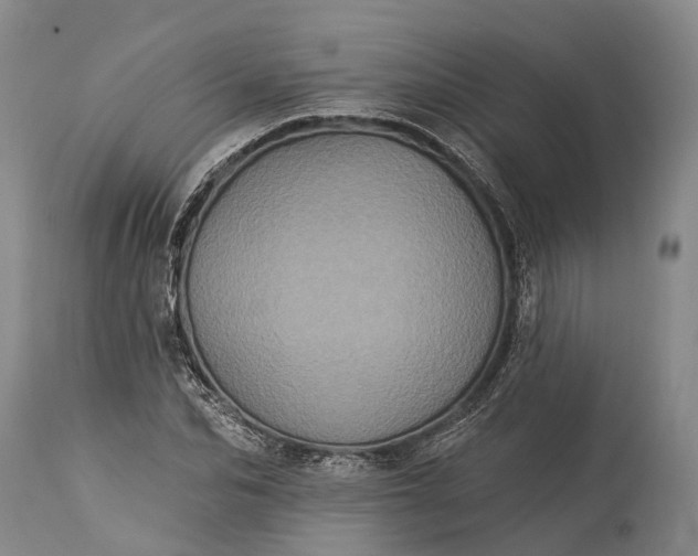 X0000115320974200911161741