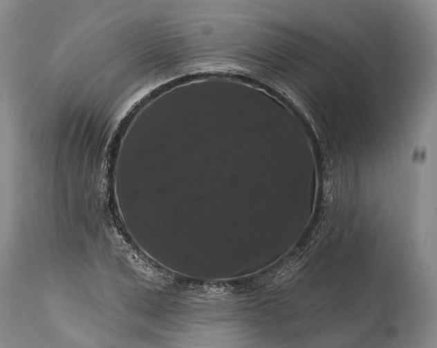 X0000115320975200911161741