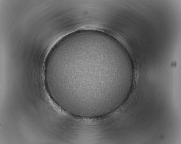 X0000115320976200911161741