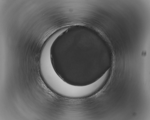 X0000115320977200911161741