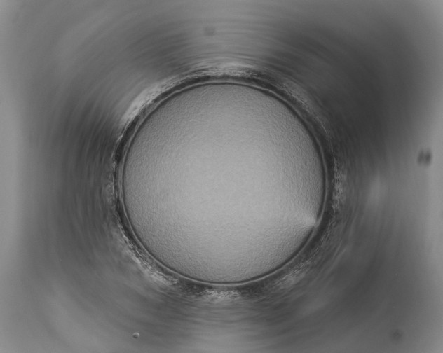 X0000115320978200911161741