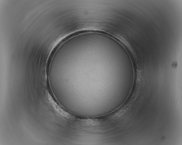 X0000115320980200911161741