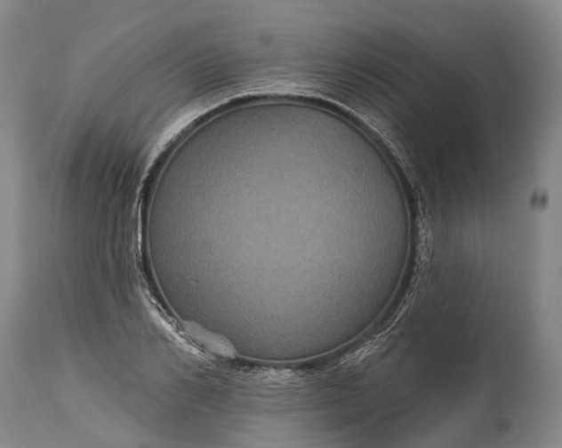 X0000115320982200911161741