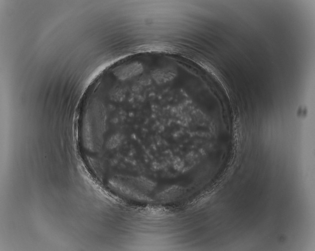 X0000115320983200911161741