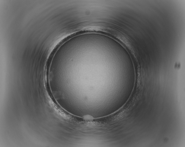 X0000115320984200911161741