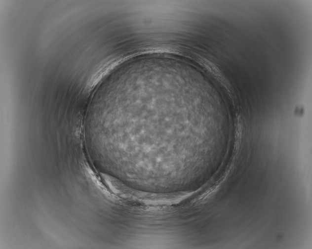 X0000115320985200911161741