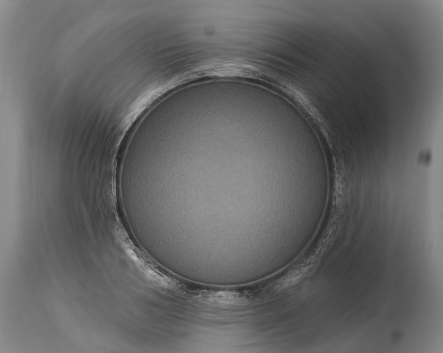 X0000115320986200911161741