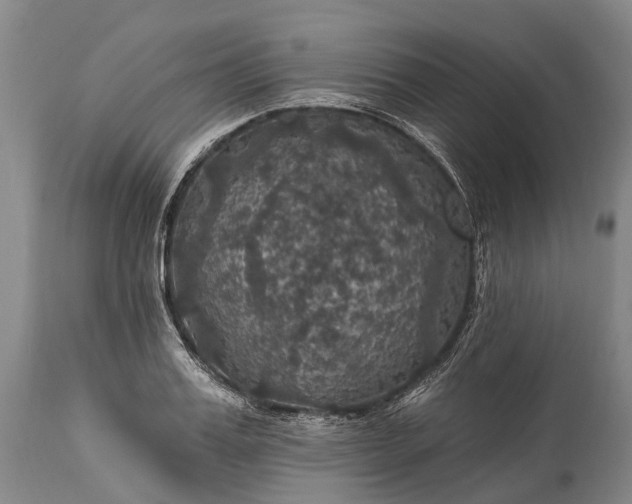 X0000115320987200911161741