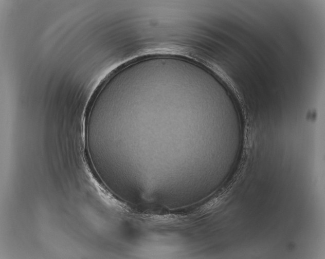 X0000115320988200911161741