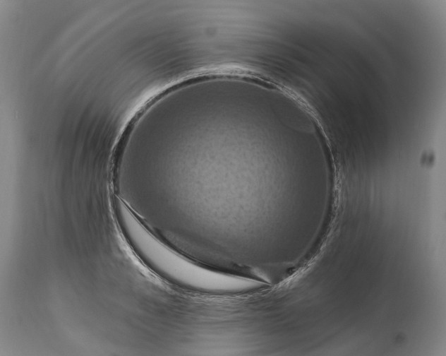 X0000115320989200911161741