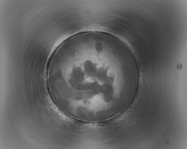 X0000115320990200911161741