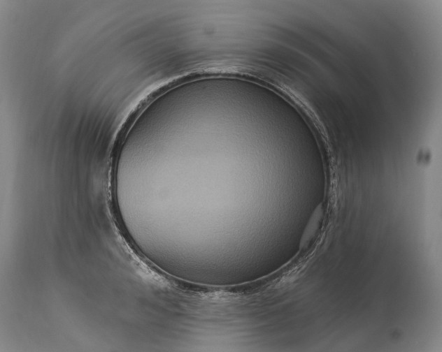 X0000115320992200911161741