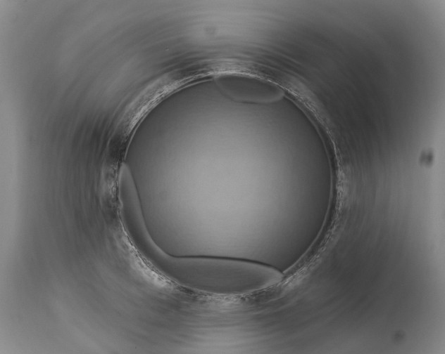 X0000115320993200911161741