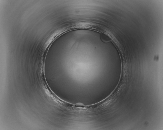 X0000115320994200911161741