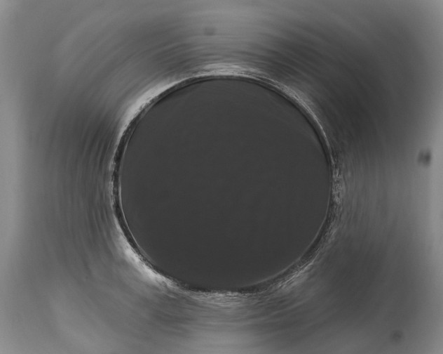 X0000115320995200911161740