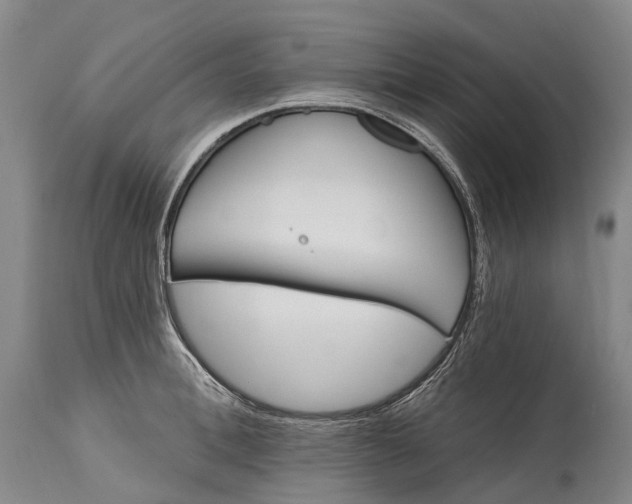 X0000115320996200911161740