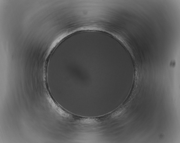 X0000115320998200911161740