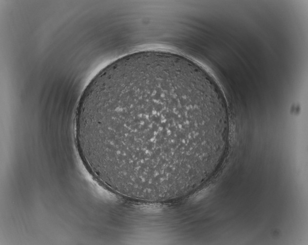 X0000115320999200911161740