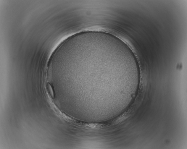 X0000115321000200911161740