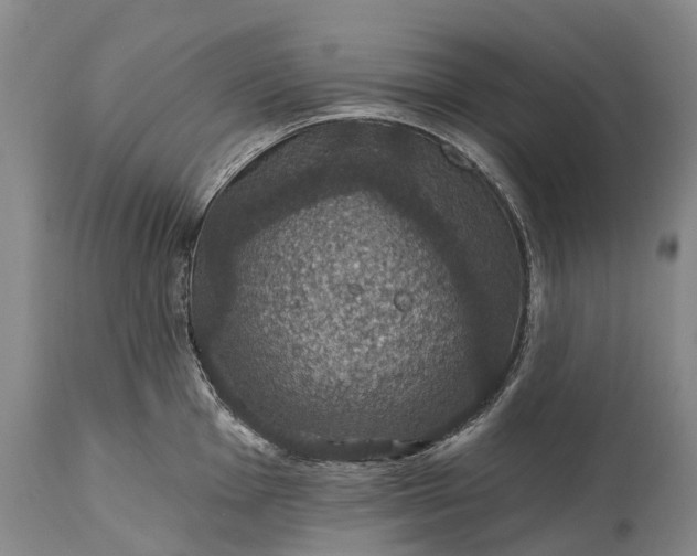 X0000115321001200911161740