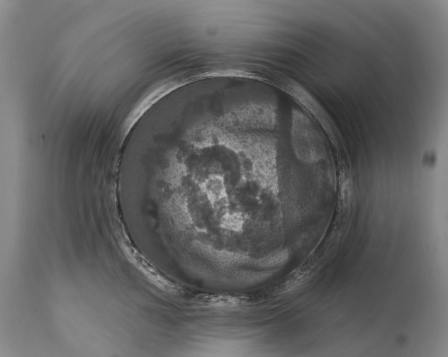 X0000115321002200911161740