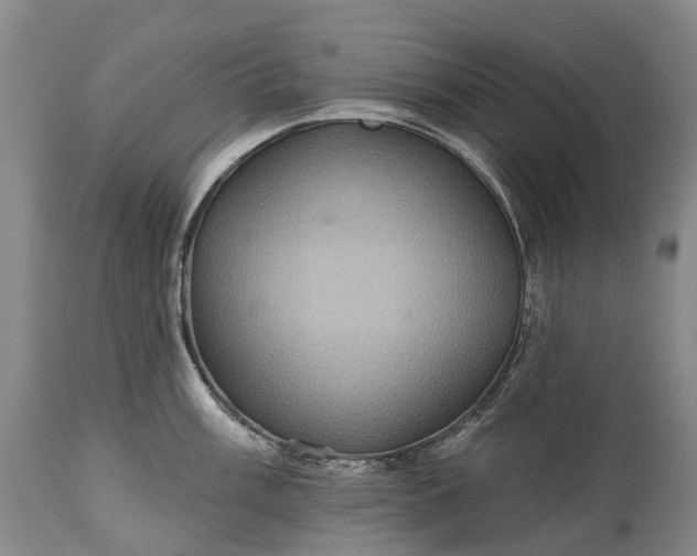 X0000115321003200911161740