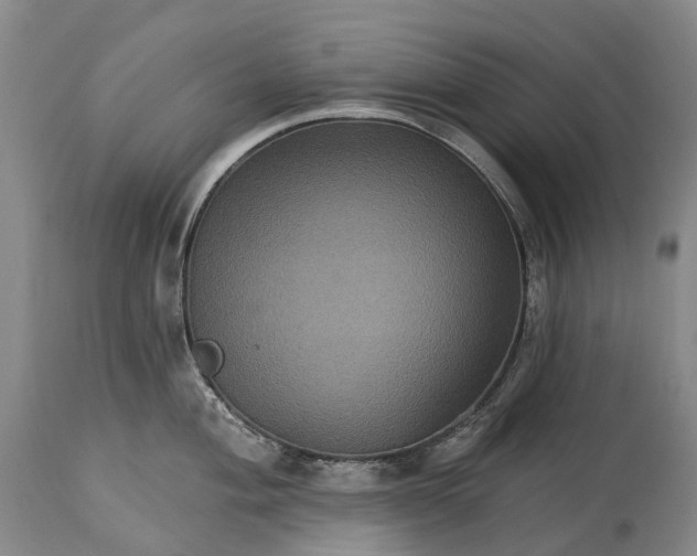 X0000115321004200911161740