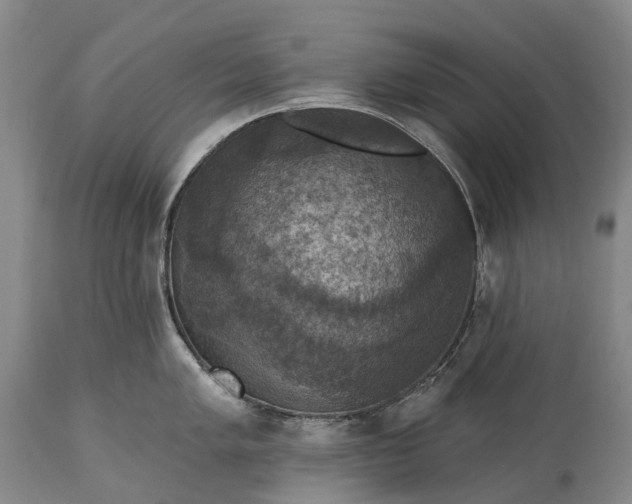 X0000115321005200911161740