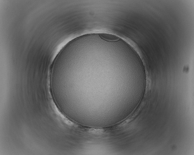 X0000115321006200911161740