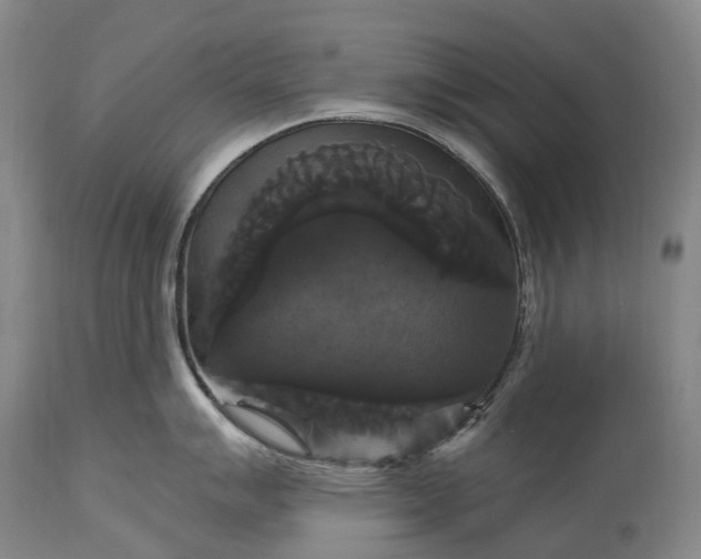 X0000115321007200911161740