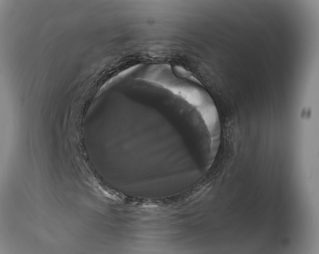 X0000115321009200911161739