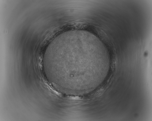 X0000115321010200911161739