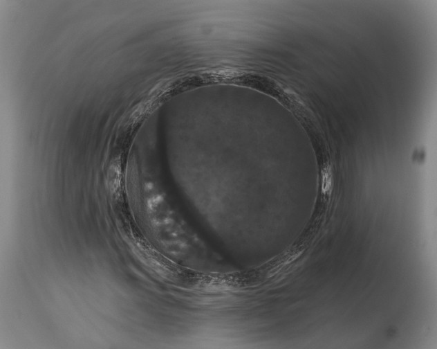 X0000115321011200911161740