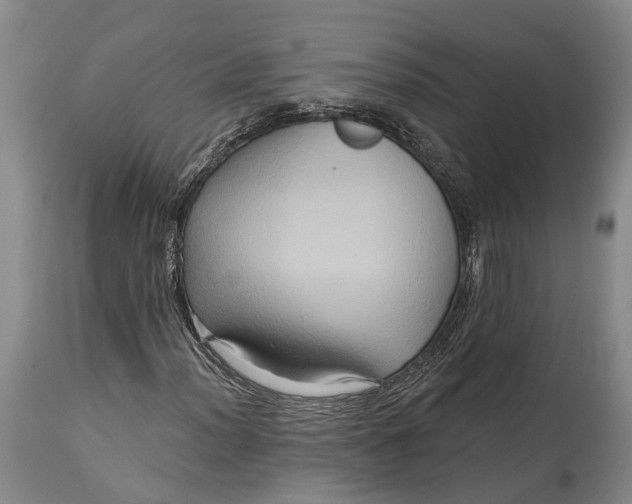 X0000115321012200911161740