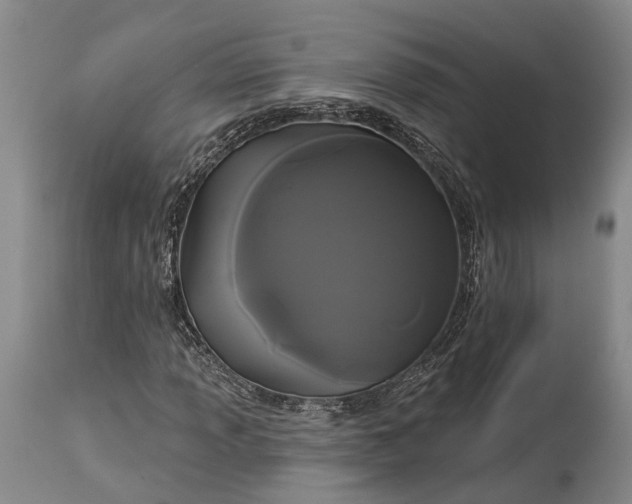 X0000115321013200911161740