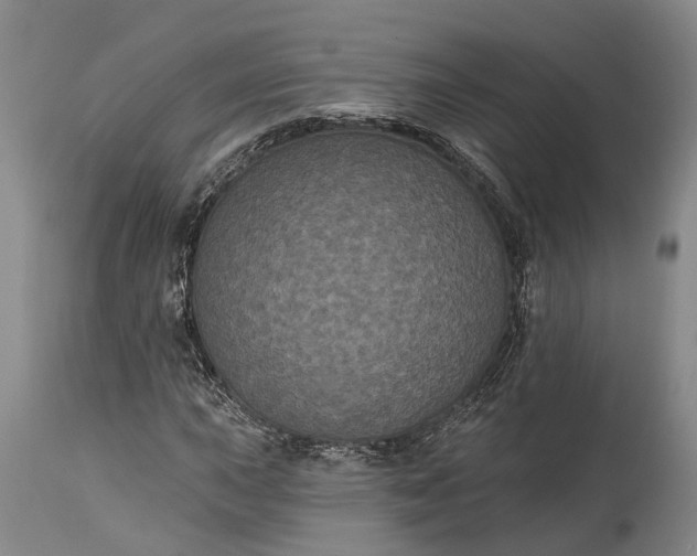 X0000115321015200911161740