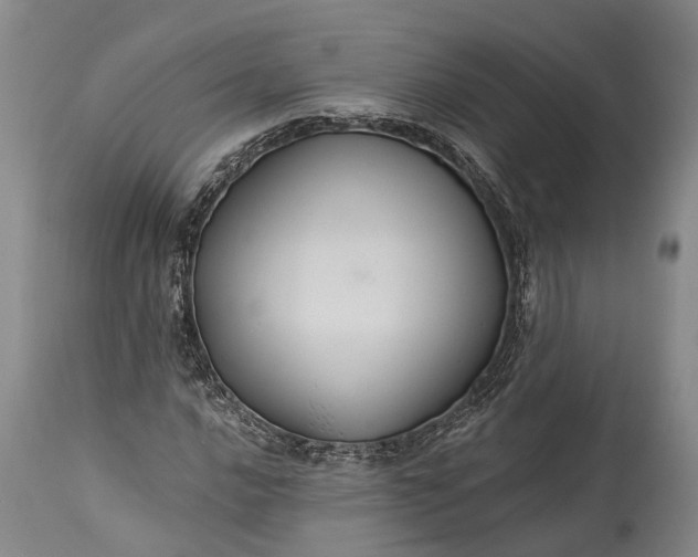 X0000115321016200911161740