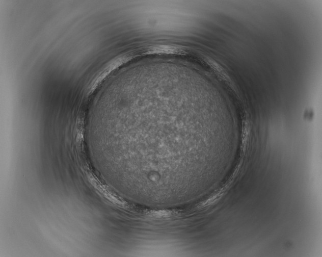 X0000115321017200911161740