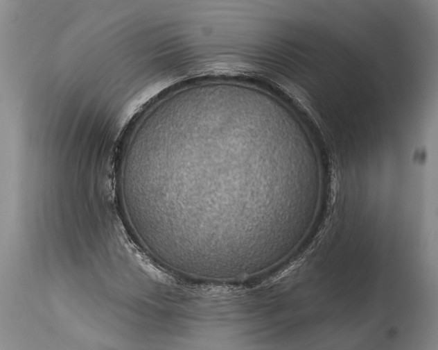 X0000115321018200911161740